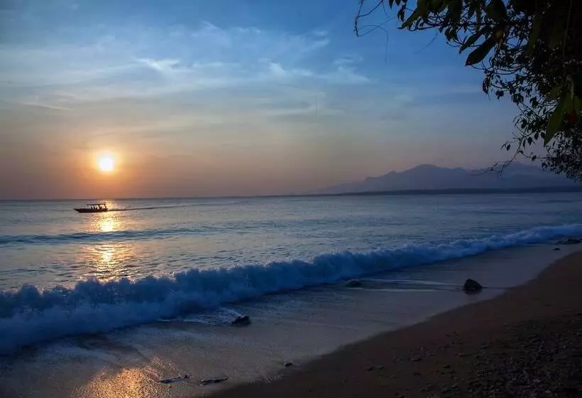 酒店 Nusabay Menjangan