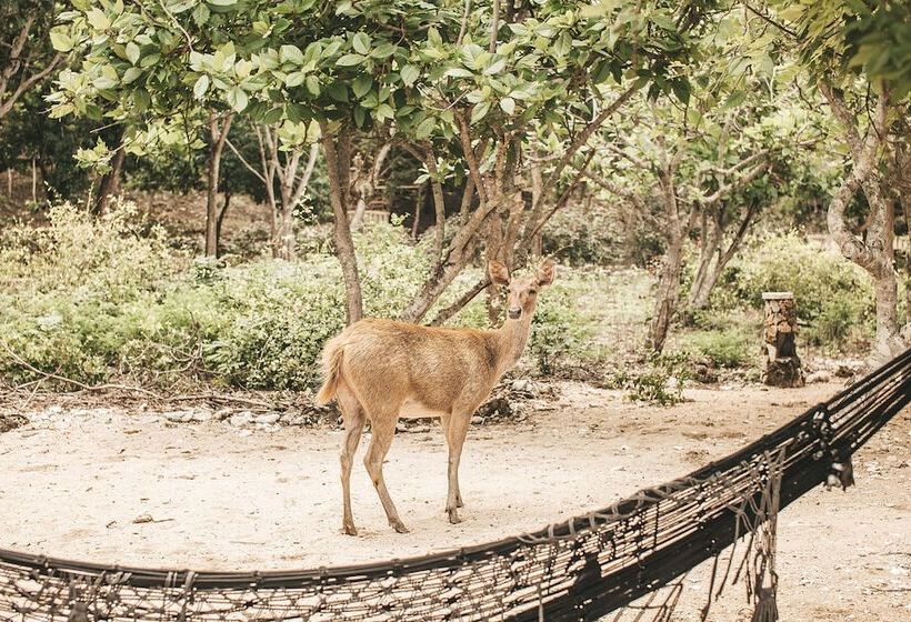 فندق Nusabay Menjangan