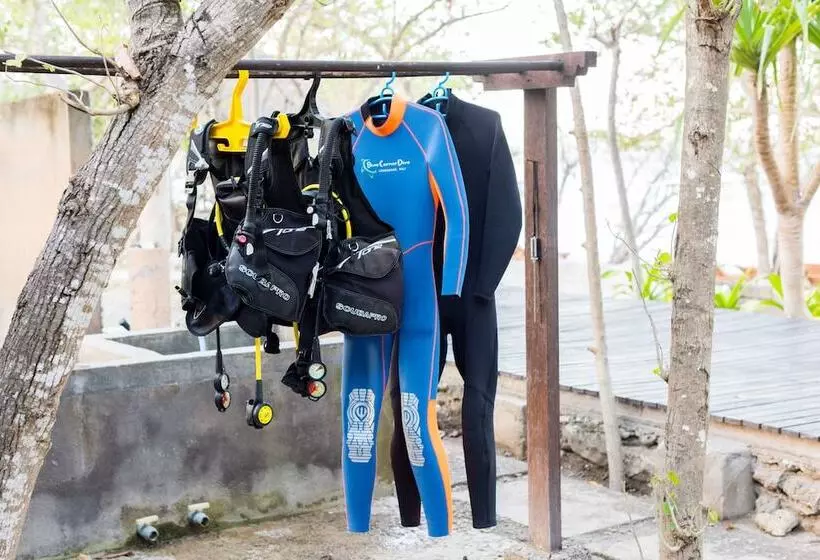 酒店 Nusabay Menjangan