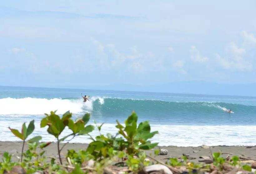 호텔 Tiskita Jungle Lodge