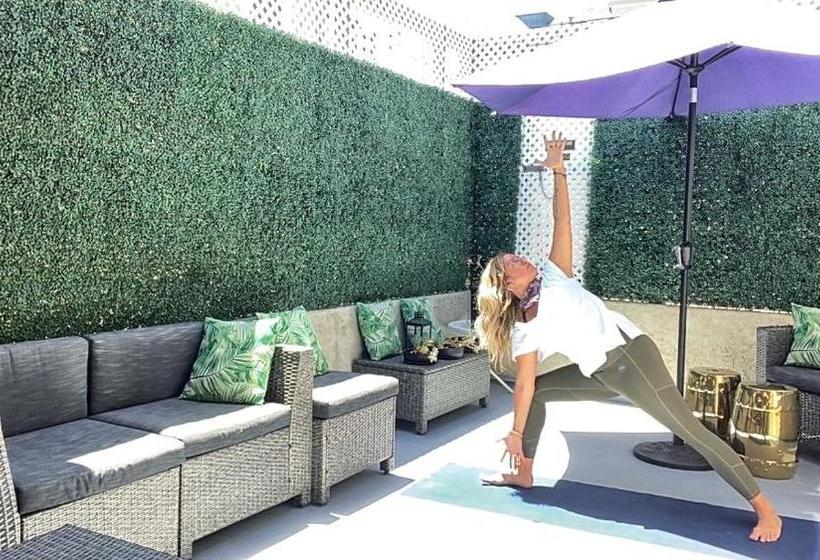 فندق The Edgewater