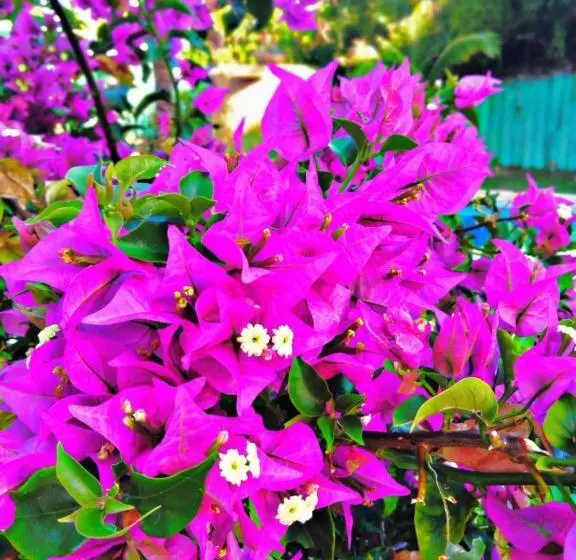 Majatalo Pousada Summer Way