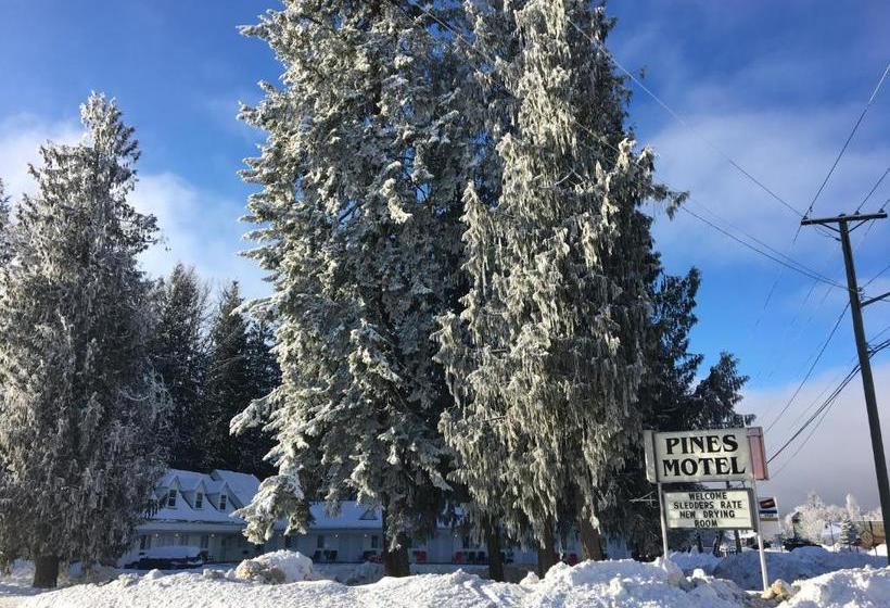 Pines Motel