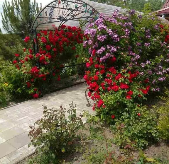 ペンション Fisherman's House