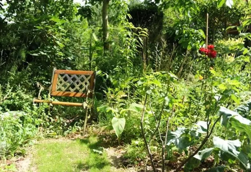 ベッドアンドブレックファースト Maison Cerviña