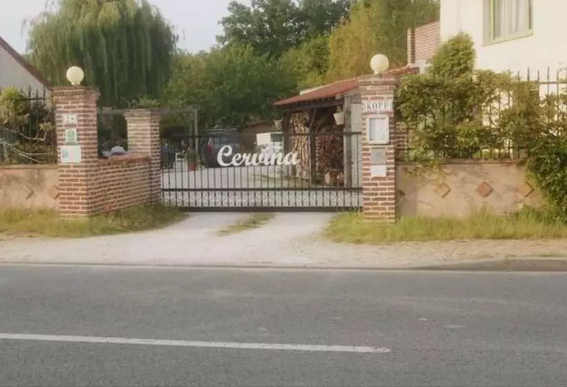 ベッドアンドブレックファースト Maison Cerviña