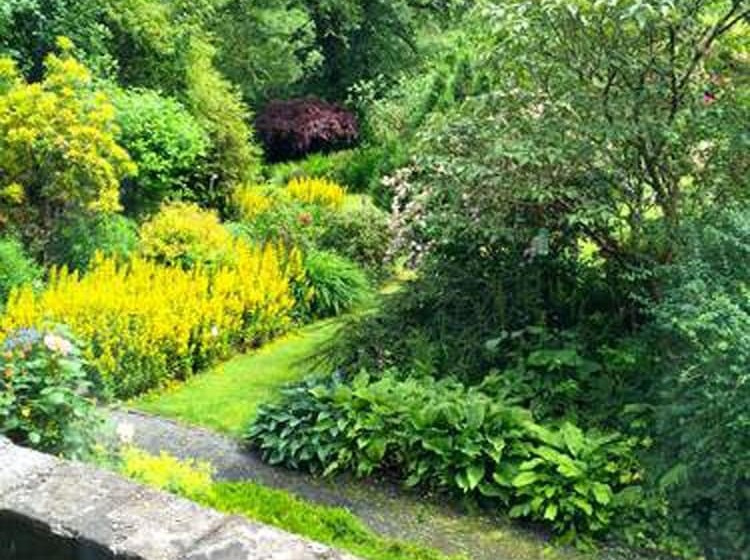 Cwm Irfon Lodge Cottages