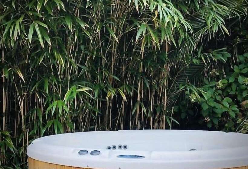 پانسیون The Devonian