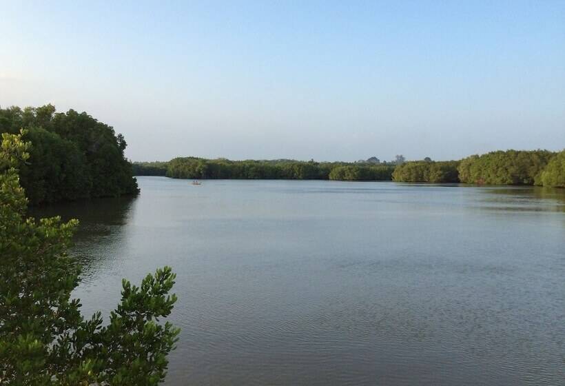 Общежитие The Nest