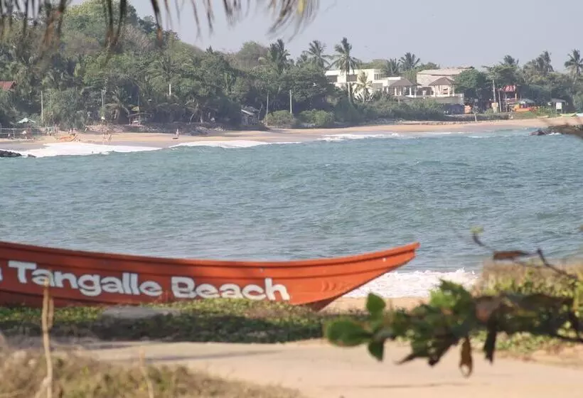 ユースホステル The Nest