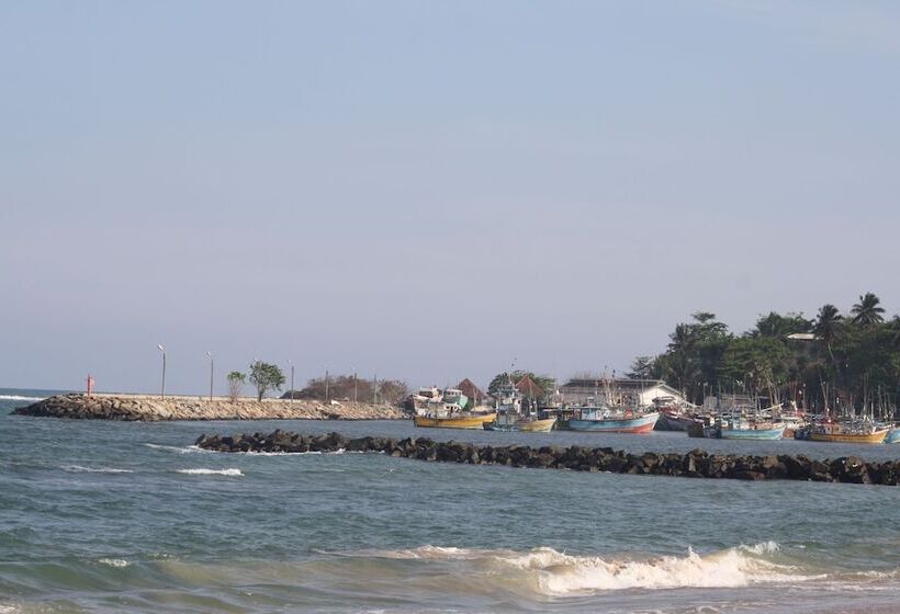 Общежитие The Nest