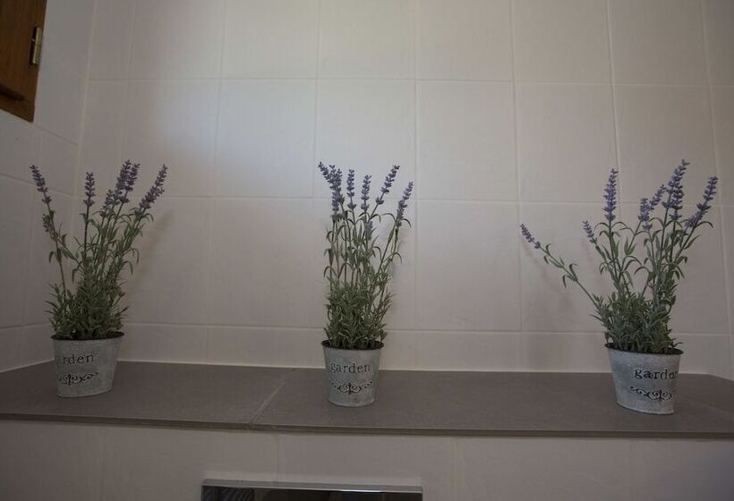 민박 Mas Des Avelines