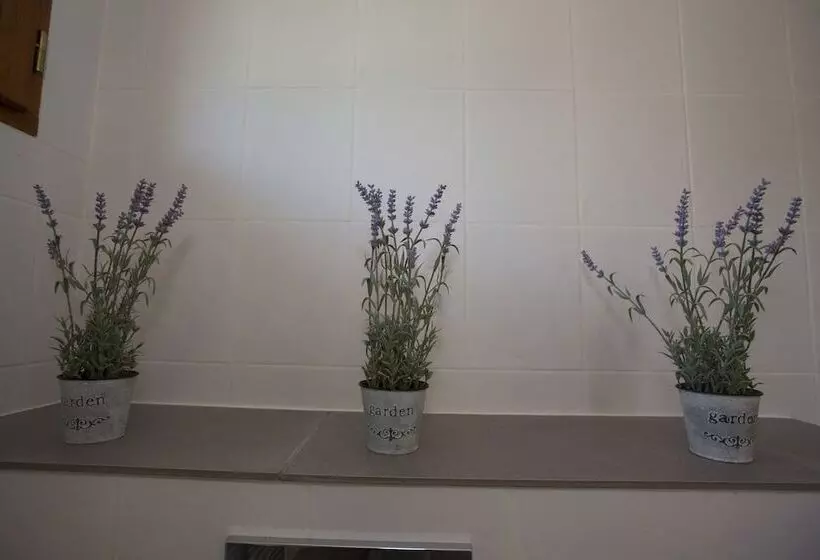 Aamiaismajoitus (B&B) Mas Des Avelines