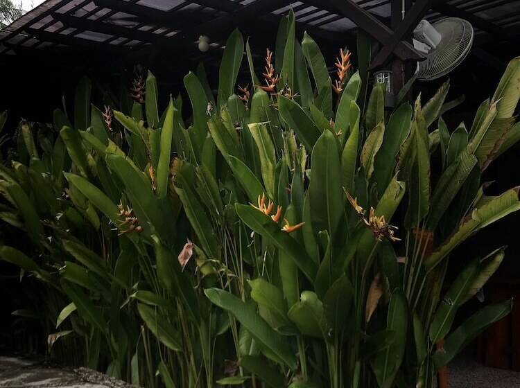 Bed and Breakfast Zifa Kuta Lombok