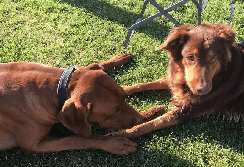 Havelblau Ferienlofts