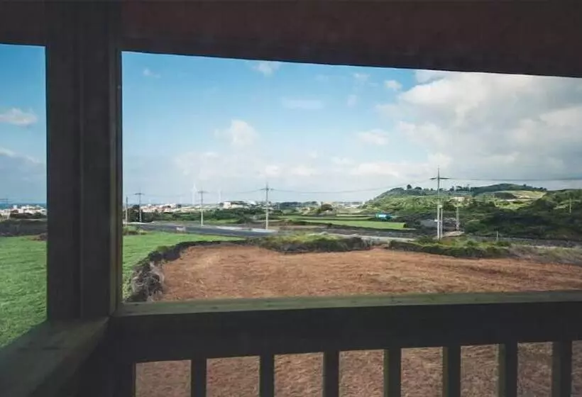 هتل Red Windmill Pension