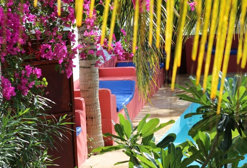 פנסיון Baridi Villa