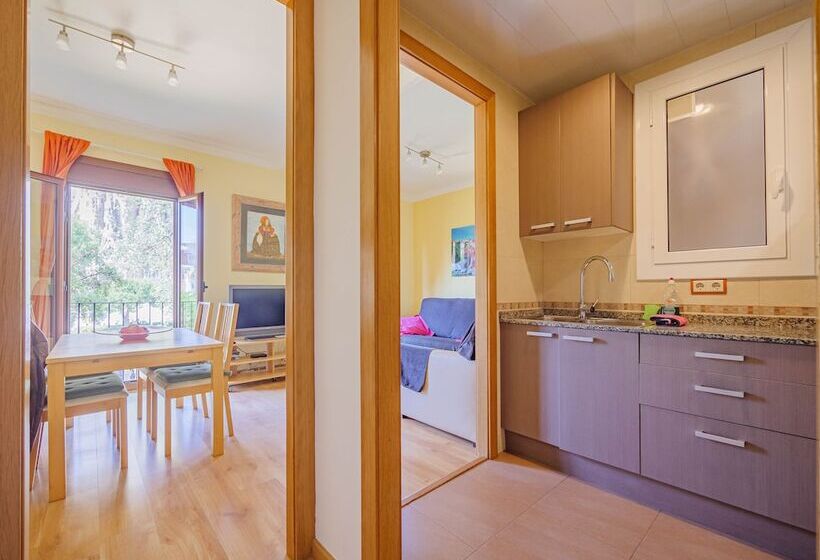 Absolute Sagrada Familia