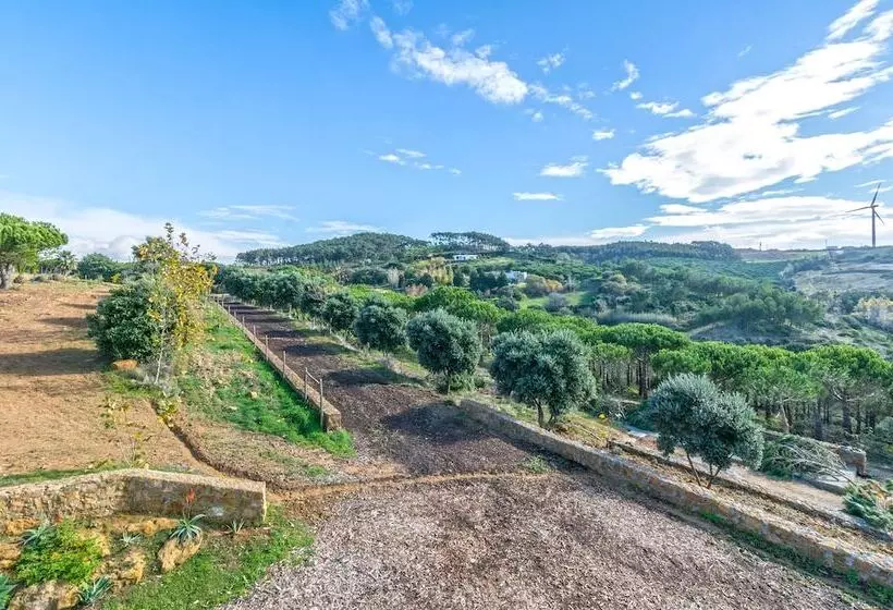 Aamiaismajoitus (B&B) Quinta Raposeiros