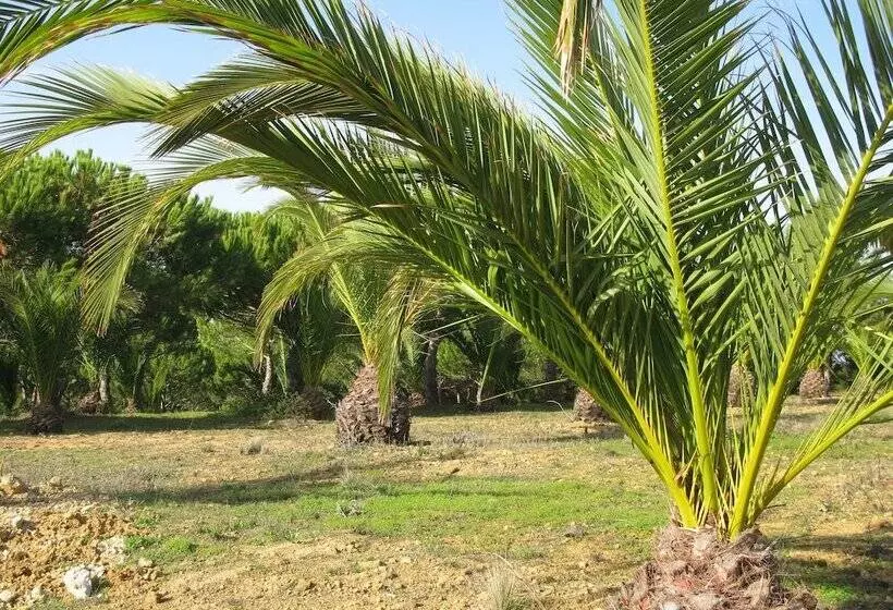 Aamiaismajoitus (B&B) Quinta Raposeiros