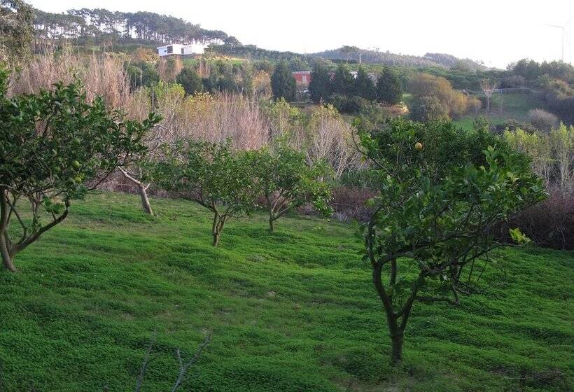 צימר Quinta Raposeiros