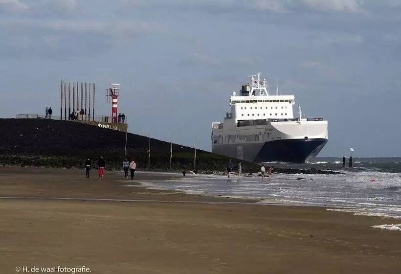 هتل Zandpaviljoen Pier 7