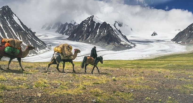 Mongolian Vision Tours   Hostel