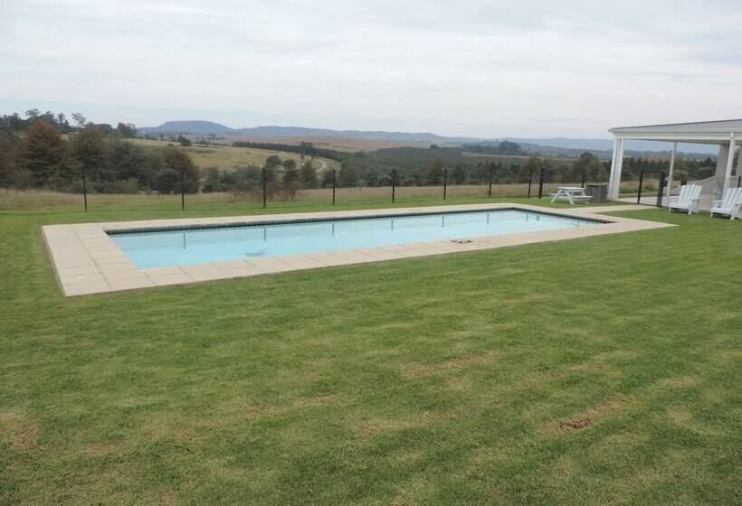 بنسيون The Living Collective