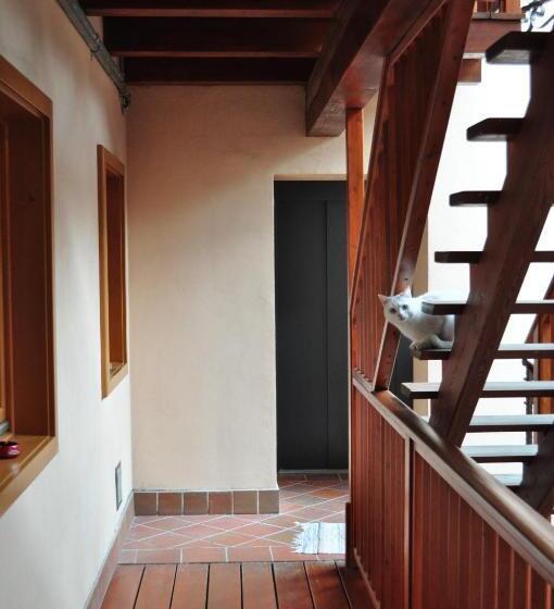 ベッドアンドブレックファースト Ai Vellutai