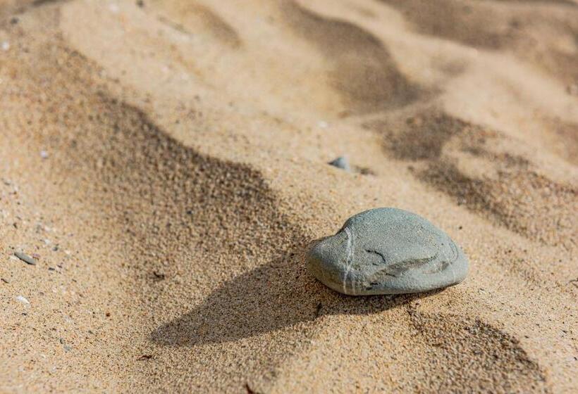 Menada Negresco Apartments