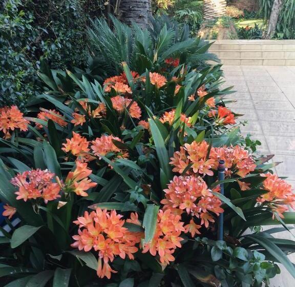 Пансион 27a On Angus