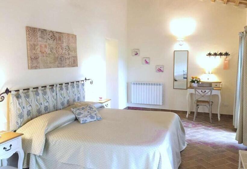 ペンション Affittacamere Anselmi Sauro