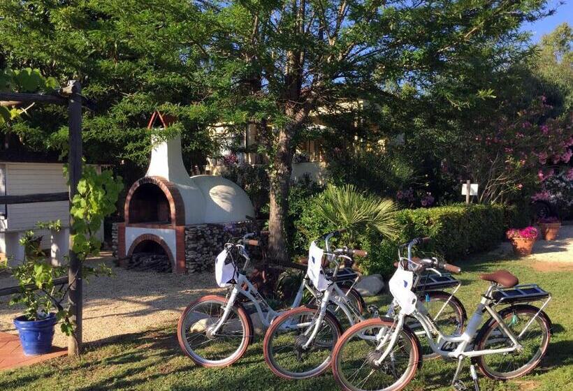 ペンション Affittacamere Anselmi Sauro