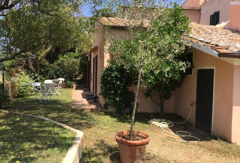 ペンション Affittacamere Anselmi Sauro