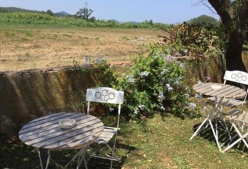 ペンション Affittacamere Anselmi Sauro