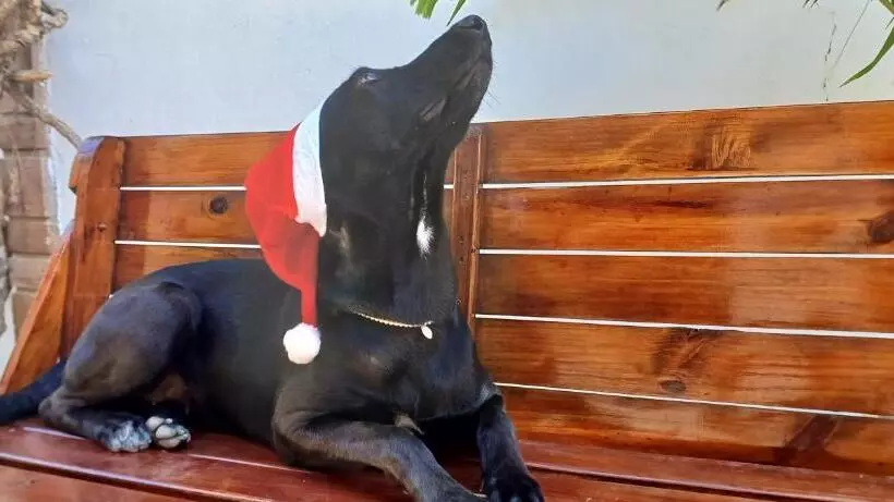 Pensão Pousada Kasabela Residence