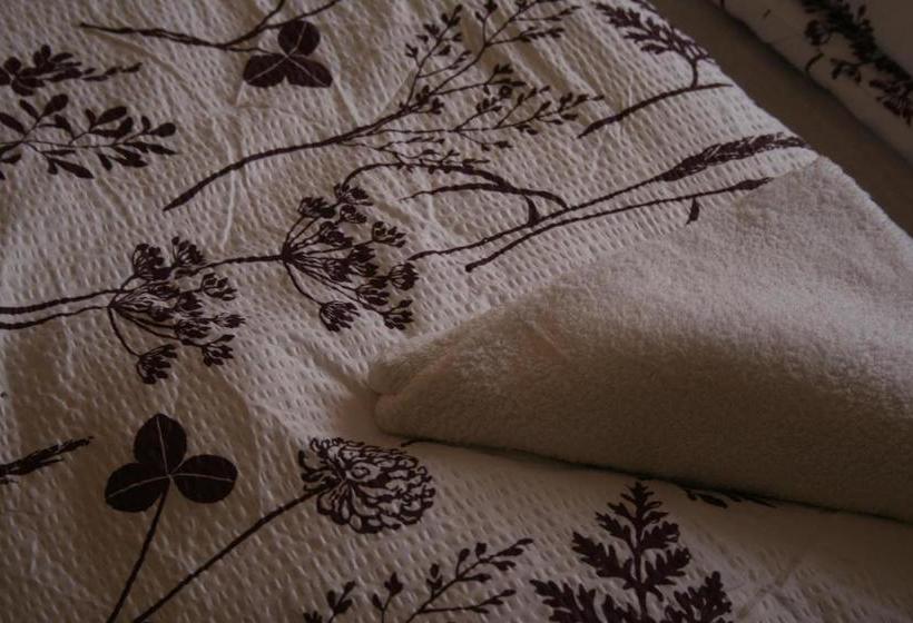 Royal Studio Apartment