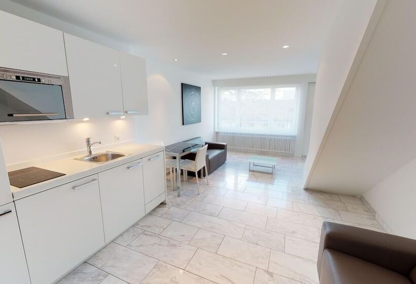 Visionapartments Binzmühlestrasse 50   Contactless Check In