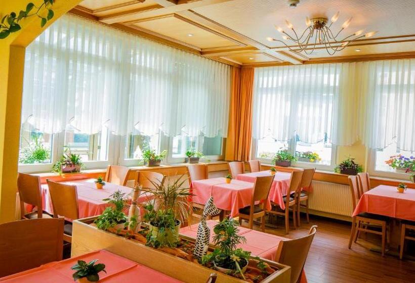 Отель Heilquelle