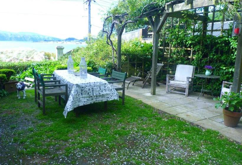 酒店 Beachfront Wellington Bed And Breakfast