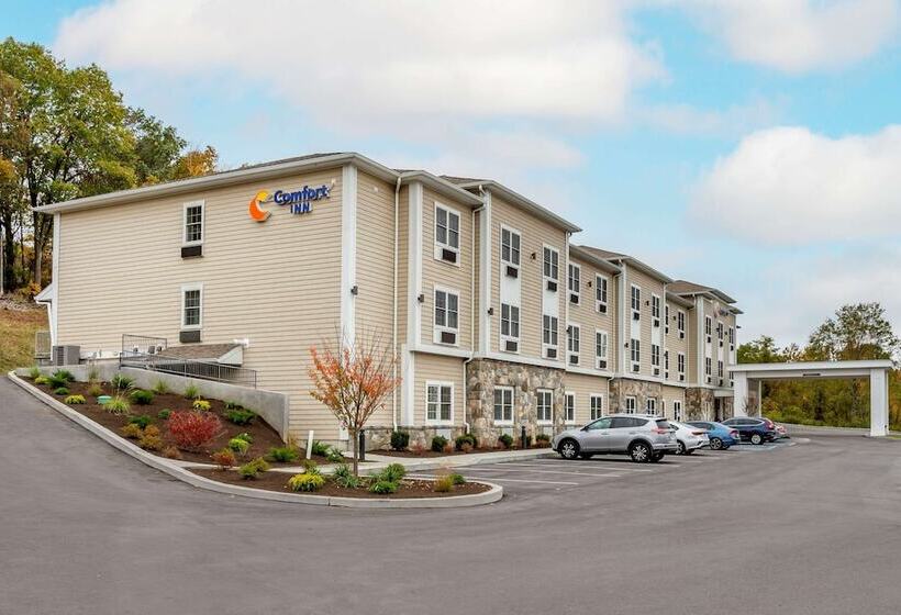 ホテル Comfort Inn