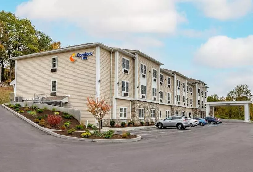 ホテル Comfort Inn