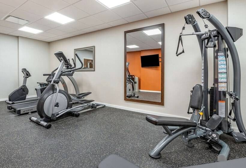 ホテル Comfort Inn