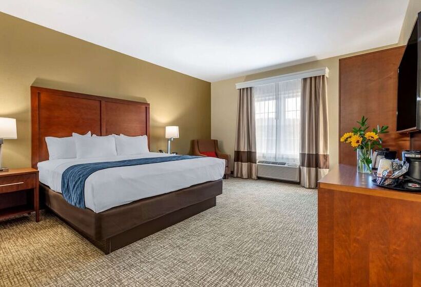 ホテル Comfort Inn