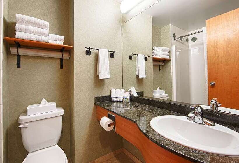 בית מלון כפרי Best Western Plus Valemount Inn & Suites