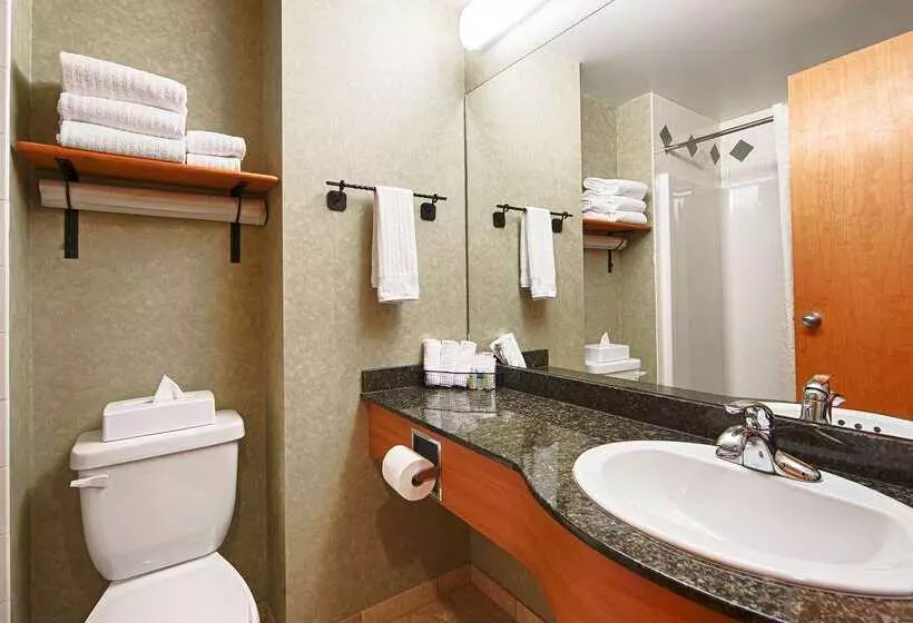 Hotel Best Western Plus Valemount Inn & Suites