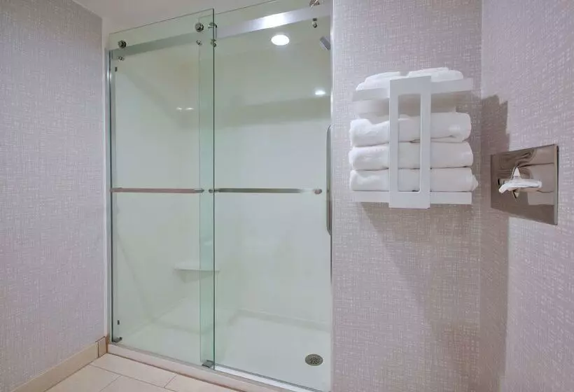 酒店 Hampton Inn College Park