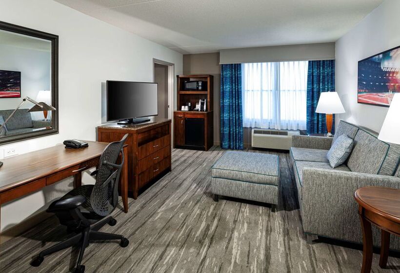 هتل Hilton Garden Inn Omaha Downtown/old Market Area