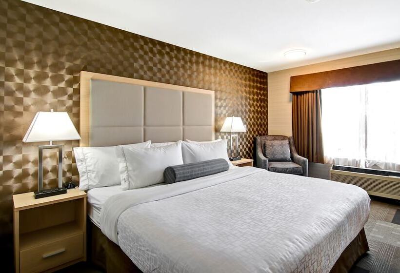 Motel Canalta St.paul