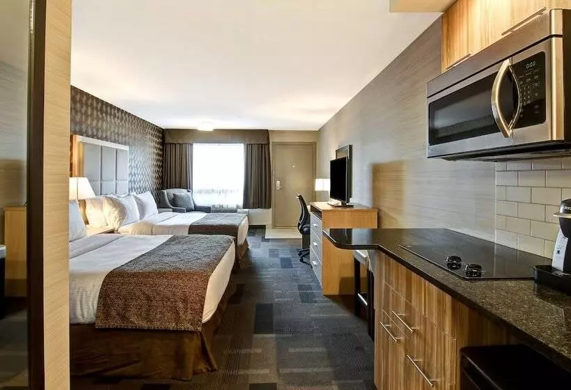 모텔 Canalta St.paul